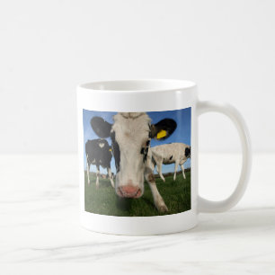 Nyfiken ko kaffemugg