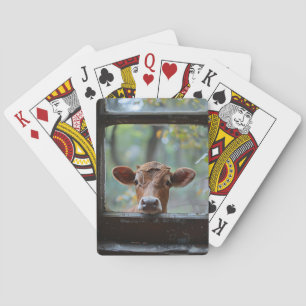Nyfiken kon Tittar genom ett fönster Casinokort