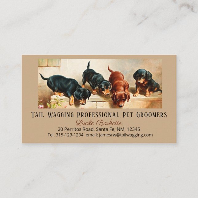Nyfiken konst med dachshund-valpar för husdjursvår visitkort (Framsida)