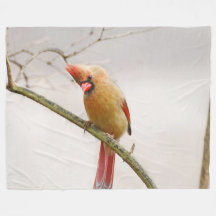 Nyfiken kvinnlig kardinal Fleece Blanket