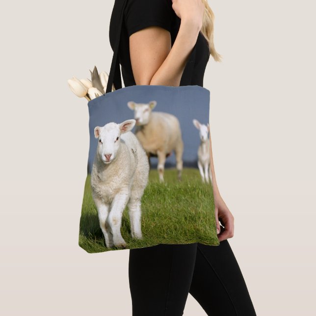 Nyfiken Lamb Tygkasse (Närbild)