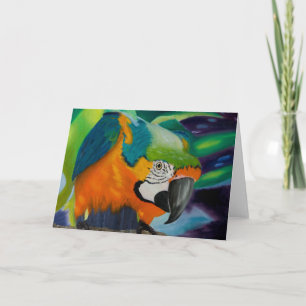 Nyfiken Macaw Kort