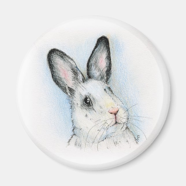 Nyfiken Magnet (Framsidan)