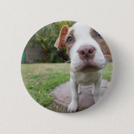 Nyfiken marionett knapp