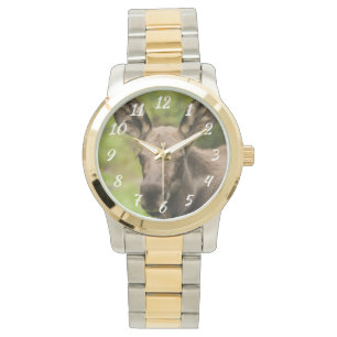Nyfiken Moose Armbandsur