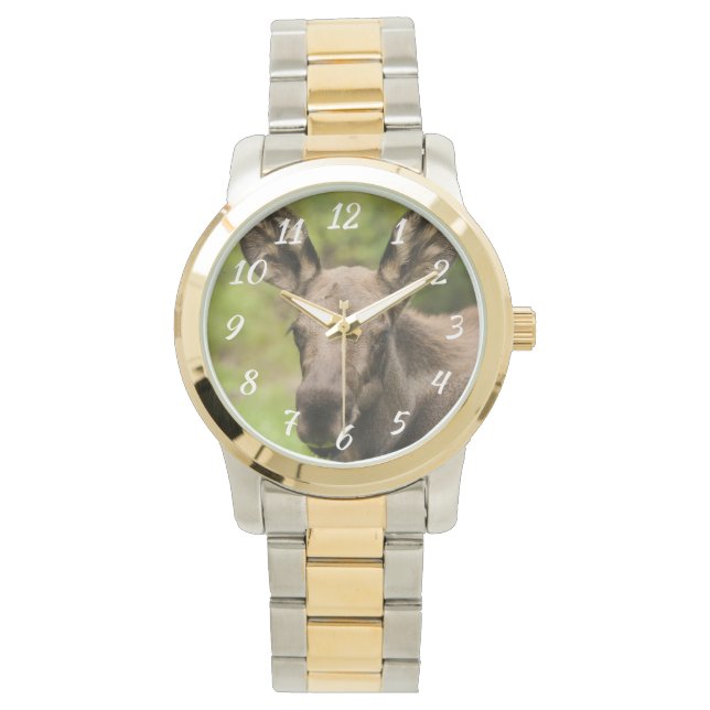 Nyfiken Moose Armbandsur (Framsida)