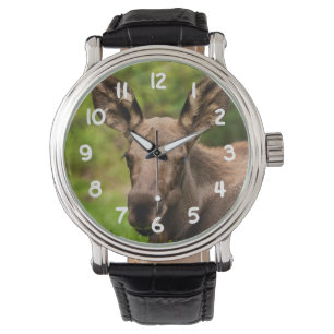 Nyfiken Moose Armbandsur