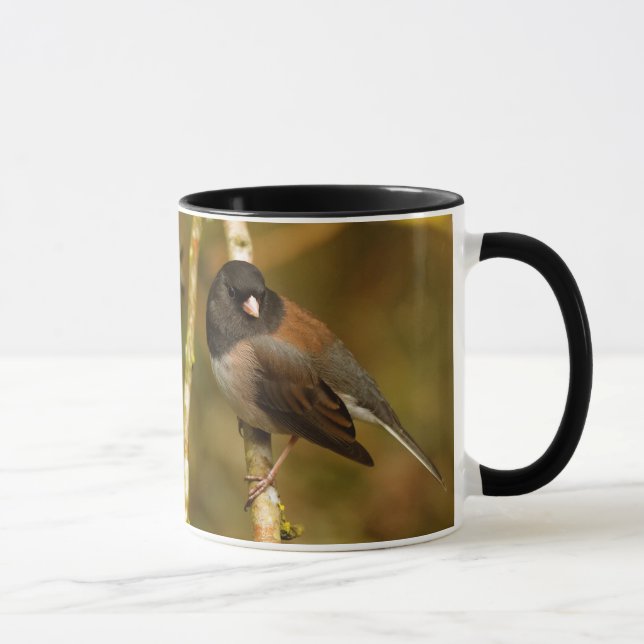 Nyfiken Mörk-Eyed Junco Sparrow Songbird Mugg (Höger)