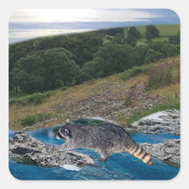 Nyfiken och Clever Raccoon Square-fästare Fyrkantigt Klistermärke