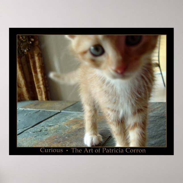 Nyfiken Poster (Framsidan)