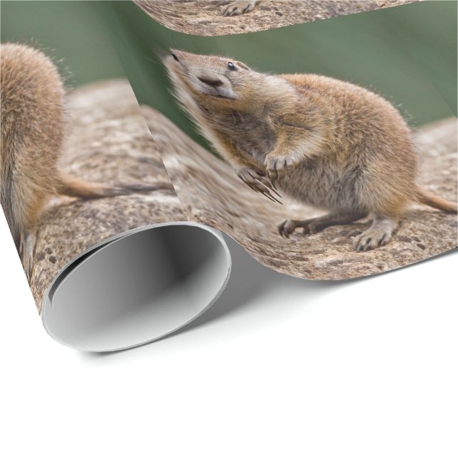 Nyfiken Prairie Hund Wrapping Papper Presentpapper (Rullad Hörn)