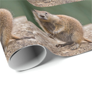 Nyfiken Prärieslängdpapperspapper Presentpapper