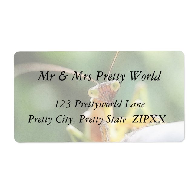 Nyfiken Praying Mantis Fraktsedel (Framsidan)