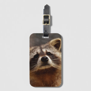 Nyfiken Raccoon Bagagebricka