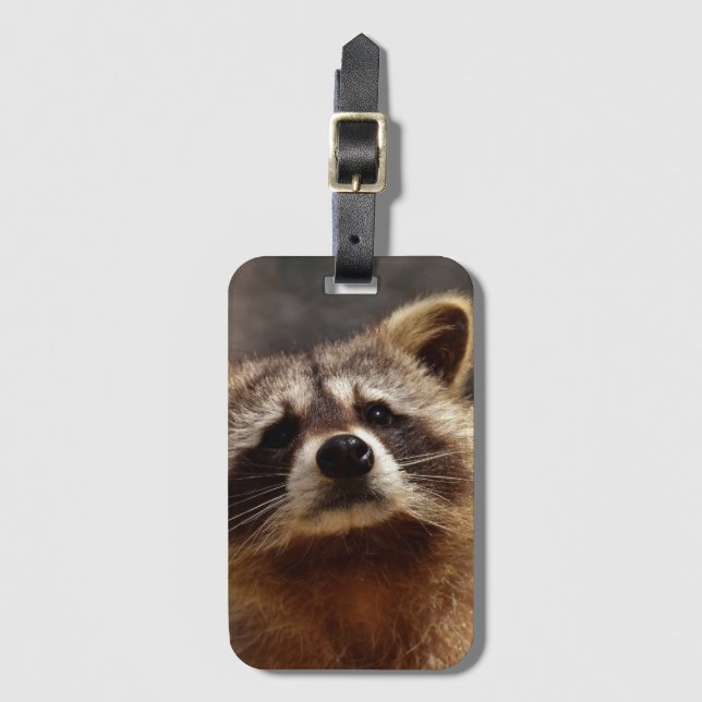 Nyfiken Raccoon Bagagebricka (Framsida vertikal)