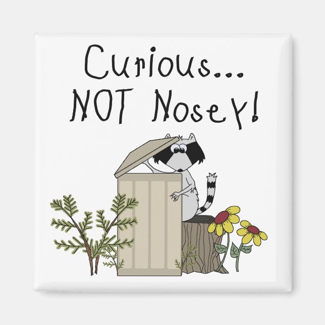 Nyfiken Raccoon Magnet (Framsidan)