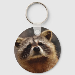 Nyfiken Raccoon Nyckelring