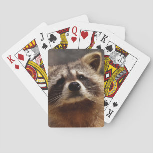 Nyfiken Raccoon Spelkort