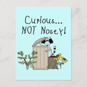 Nyfiken Raccoon Vykort