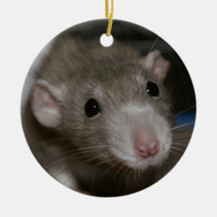 Nyfiken råtta julgransprydnad keramik