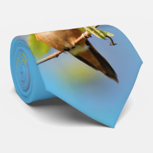 Nyfiken rufous Hummingbird Slips