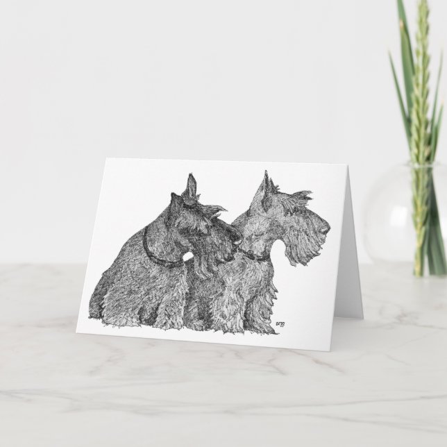 Nyfiken Scottish Terriers Penna & Bläck Skiss Kort (Framsida)