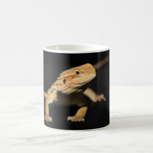 Nyfiken skäggig drake kaffemugg