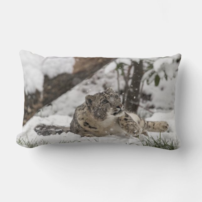 Nyfiken snöLeopard i snö Lumbarkudde (Framsida)