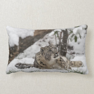 Nyfiken snöleopard i snö lumbarkudde