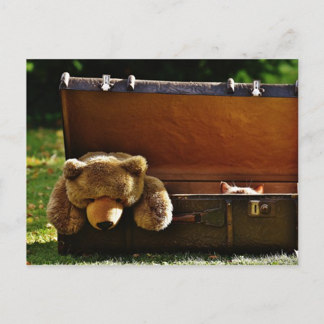 Nyfiken Suitcase Kitten med stuffed Teddy Vykort (Framsida)