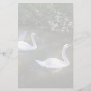 Nyfiken Svanar-mall Brevpapper