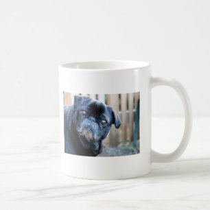 Nyfiken svart mopsmugg kaffemugg