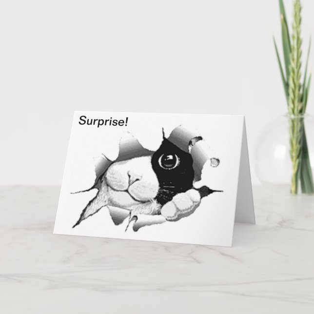 Nyfiken svartvit katt födelsedag kort (Framsida)
