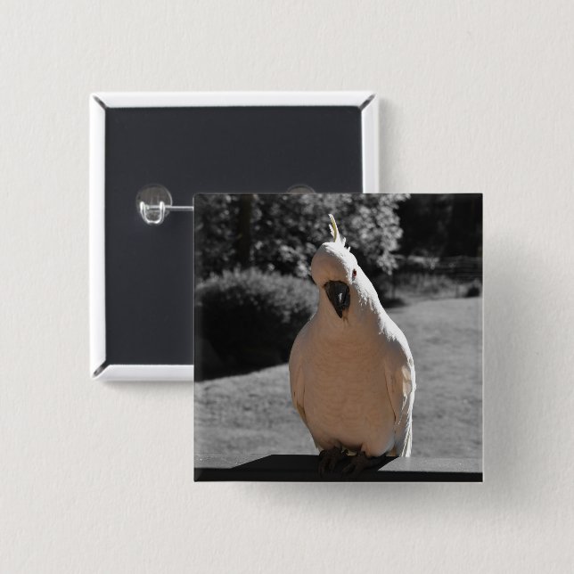 Nyfiken svaveltofskakadua knapp (Framsida & baksida)