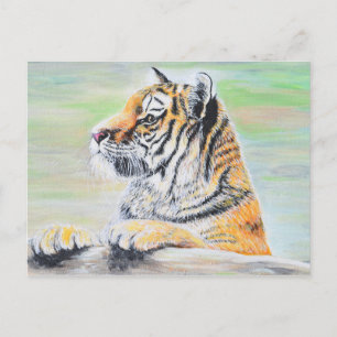 Nyfiken tigermålning vykort