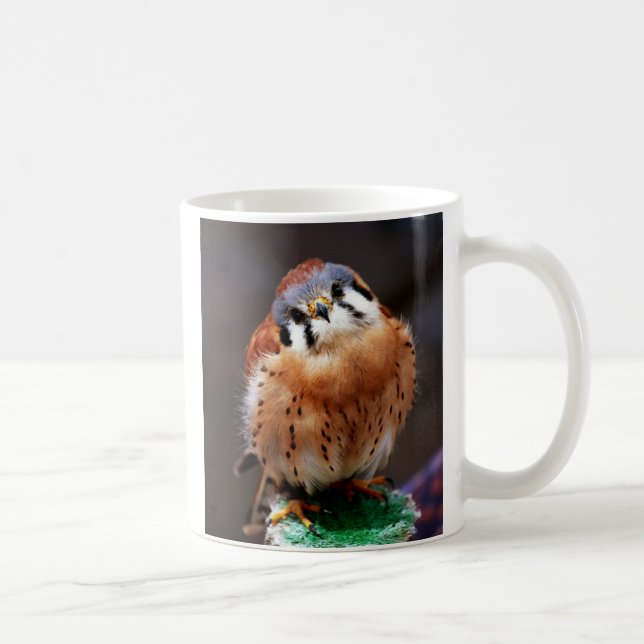 Nyfiken tornfalk kaffemugg (Höger)