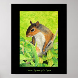 Nyfiken utskrift av ekorrart poster