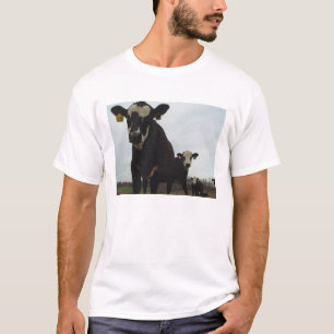 Nyfiken utslagsplats för kor 2 tee shirt