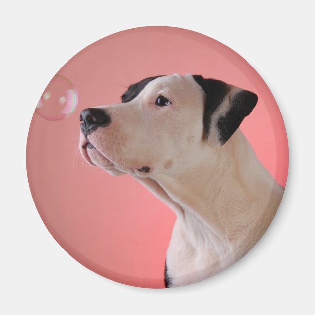 Nyfiken valp magnet (Framsidan)