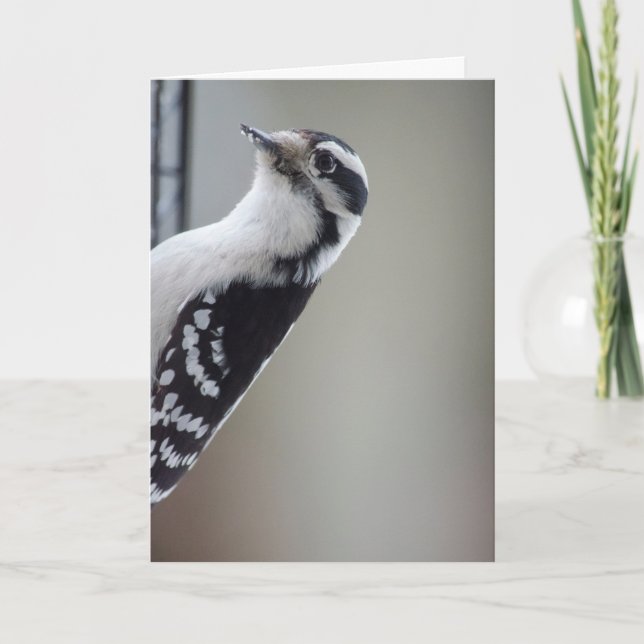 Nyfiken Woodpecker Kort (Framsida)