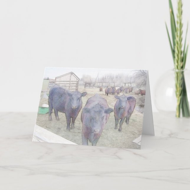 Nyfiken Young Black Angus Tack Kort (Framsida)
