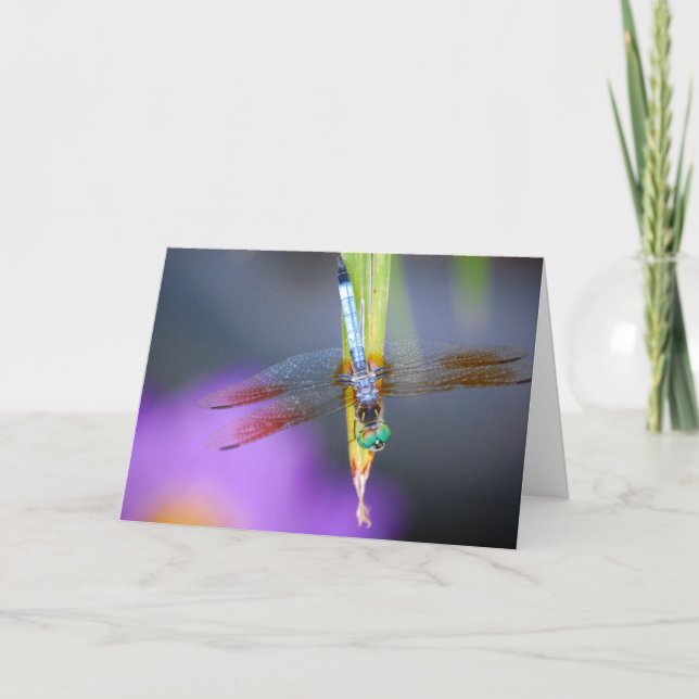 Nyfiket Dragonfly-Dikt - kort (Framsida)