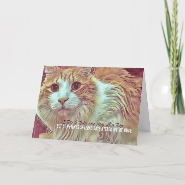 NYFIKET gratulationskort Tack Kort (Framsida)