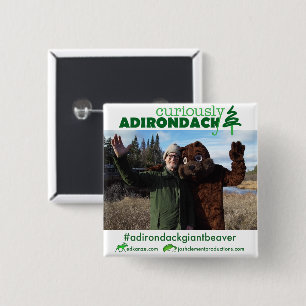 Nyfiket knäppas Adirondack (den jätte- bäver f Knapp