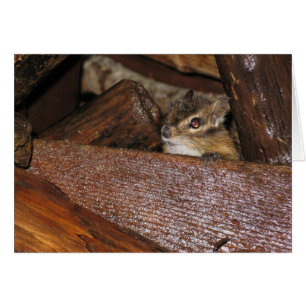 Nyfiket kort för chipmunk-hälsning