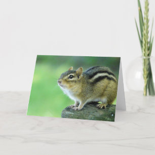 Nyfiket kort för chipmunk-hälsning