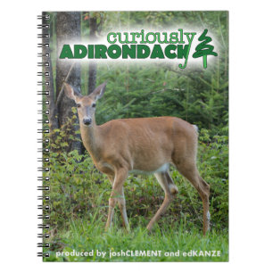 Nyfiket noterar Adirondack boken (hjort) Anteckningsbok