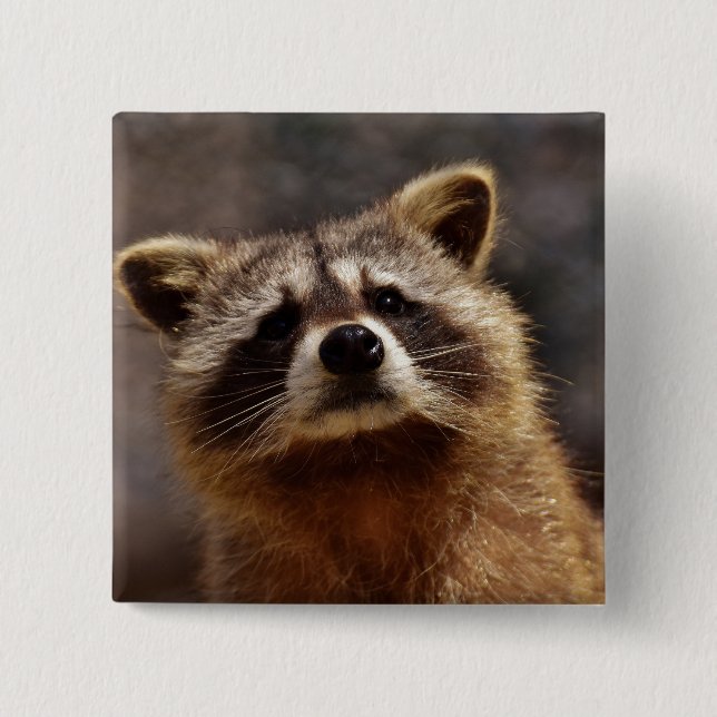 Nyfiket Raccoon Photo Knapp (Framsida)