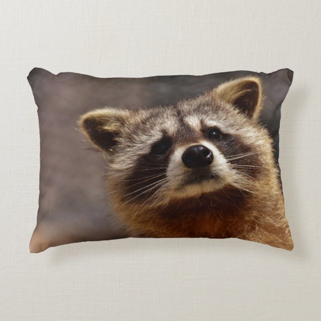Nyfiket Raccoon Photo Prydnadskudde (Framsidan)