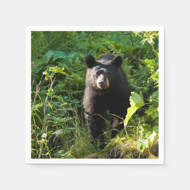 Nyfiket svart björn pappersservett (Framsidan)